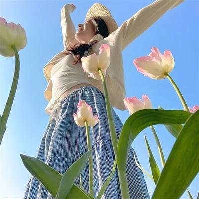 维纳斯计划